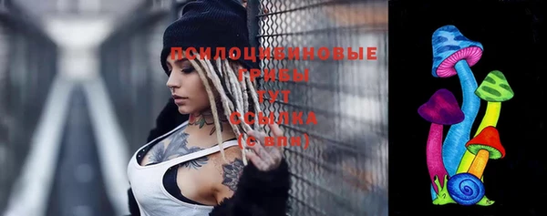гидропоника Арсеньев