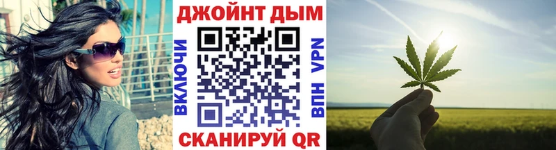закладка  Лобня  Конопля план 